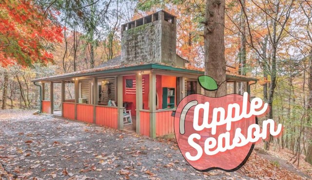 Camp VIbes: Private Creek, 4 Acres, Nat'l Forest