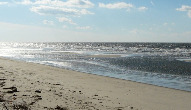 CAPE MAY BEACH,PET FRIENDLY, lovely home 1 block to dog friendly beach, preserve