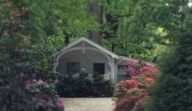 Charming, Contemporary Cottage Conveniently Located In The Heart Of Asheville!