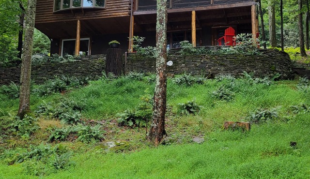 Charming lakefront log cabin with private dock-for your boat & jet ski