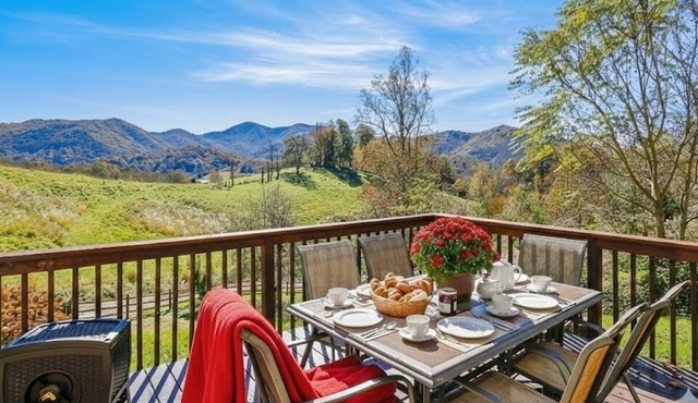 Close to DT Asheville & DT Weaverville, Hot Tub, Huge Deck, Hammocks, Rocking Chairs, Pool Table