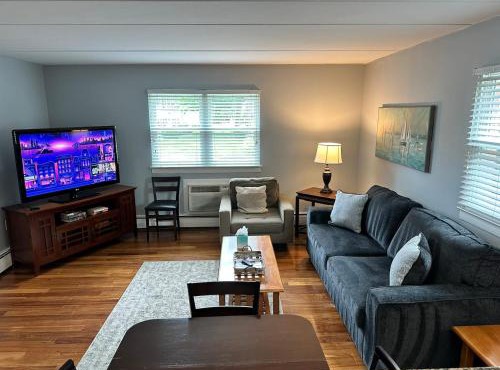 Comfy 2 BR Mid Term Apartment