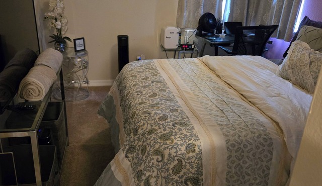 Cozy 1 bedroom condo in Palm Harbor