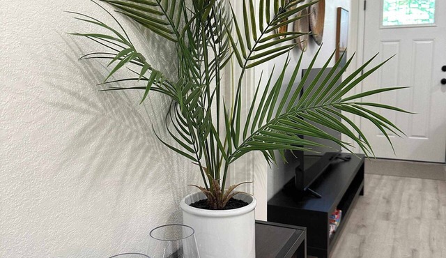 Cozy 3-Bed Retreat in Paragould