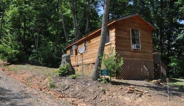 Cozy Cabin on Blue Ridge Pwy & MTS Trl with hot tub, only 15min from downtown
