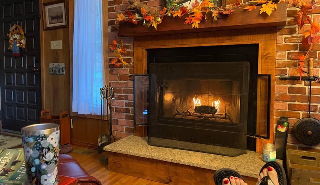 Cozy Cabin with Waterfalls 'Tween Franklin/Highlands
