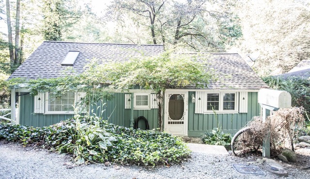 Cozy Cottage Close to Downtown Hendersonville, NC