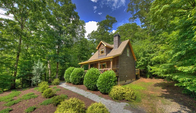 Cozy Ellijay Cabin-close to hiking, Red apple barn, waterfalls and wineries!