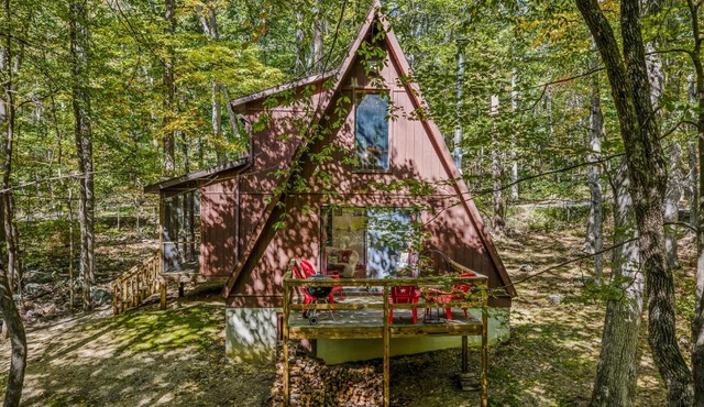 Cozy - Experience It All