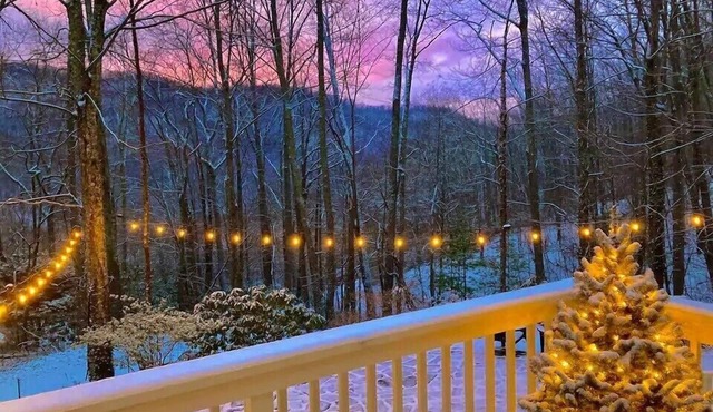 Cozy Mountain Getaway Close To Asheville