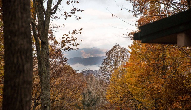 Cozy Renovated Mountain Escape, 10 min to downtown Waynesville & Lake Junaluska,