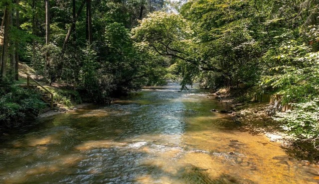 Creekside Cabin w/Hot Tub & Fishing Access