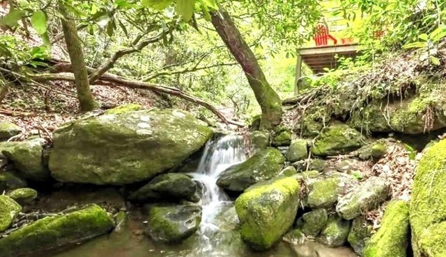 Dancing Bear: Top rated on 2 Private Creek acres w screened porch, WiFi, Grill