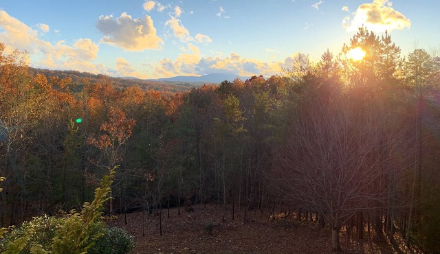 ♦︎Dog friendly cabin with hot tub and gorgeous view of the Blue Ridge Mountains