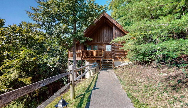 Dog Friendly Mtn Studio Cabin, Sleeps 2, Hot Tub