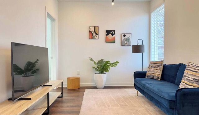 Downtown 1B1B Modern Apartment! Free Street Parking!