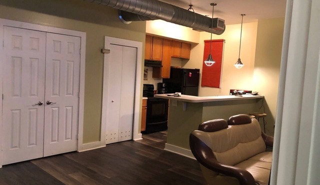 Downtown ATLANTA CONDO 10min from all attraction