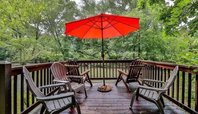 Dragonfly on the Cartecay by Mountain Oasis | Riverfront Cabin in Ellijay