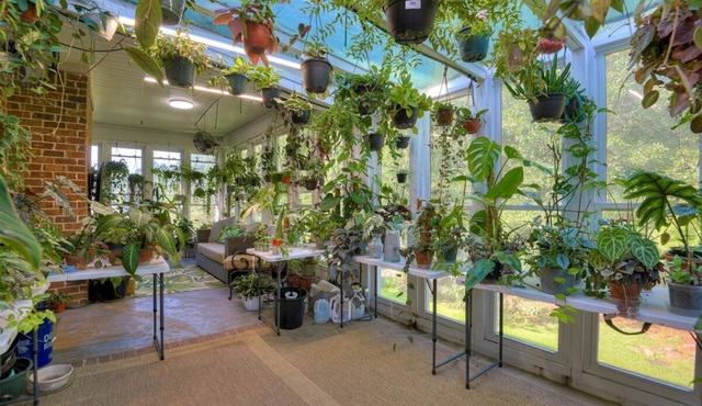Enjoy Masters in The Garden City's lushest home.