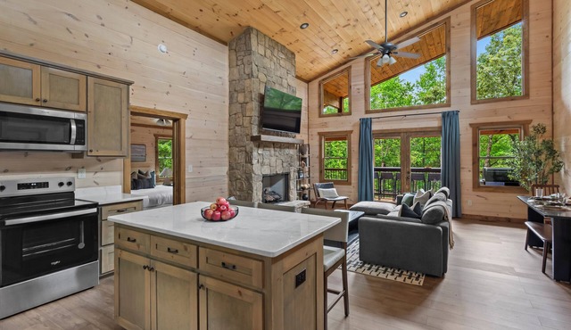 Epic Treehouse 4 Acres Creek Access Movie Theatre