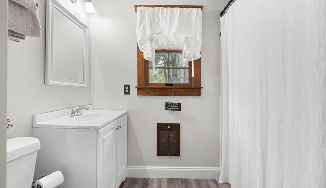 Escape to a Pet-Friendly Cabin near Helen, Blue Ridge & Appalachian Trail