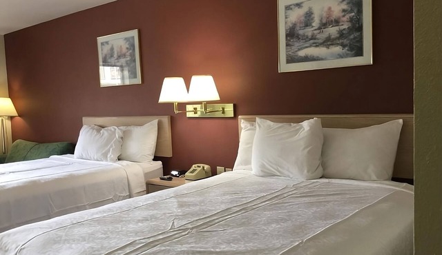 Experience Maximum Comfort! Pool, FREE Parking & Breakfast!