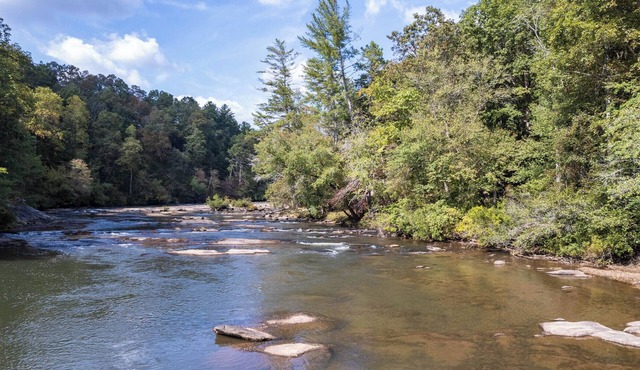 Gaby's on the River - Perfect Vacation Home Short Walk to Chattahoochee River