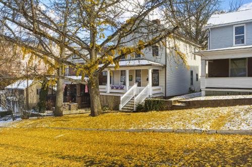 Ginkgo on 5th