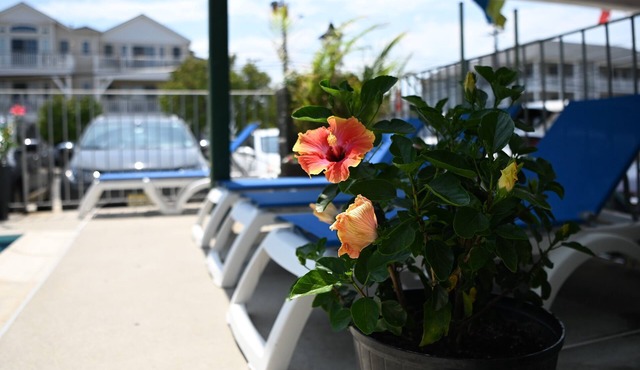 Grecian Gardens Motel