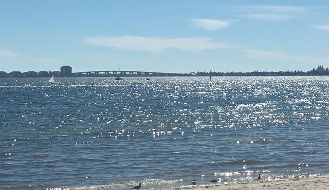 Gulfport's Hidden Gem!