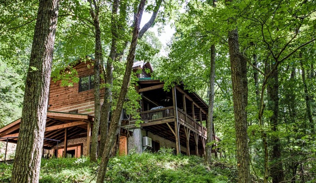 Hidden Cove Cabin: Cabin Near Downtown AVL! Hot Tub, Game Rm!