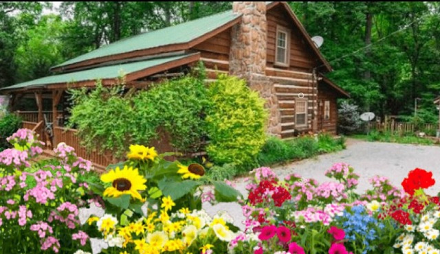 HONEYSUCKLE HIDEAWAY A private mountain cabin!