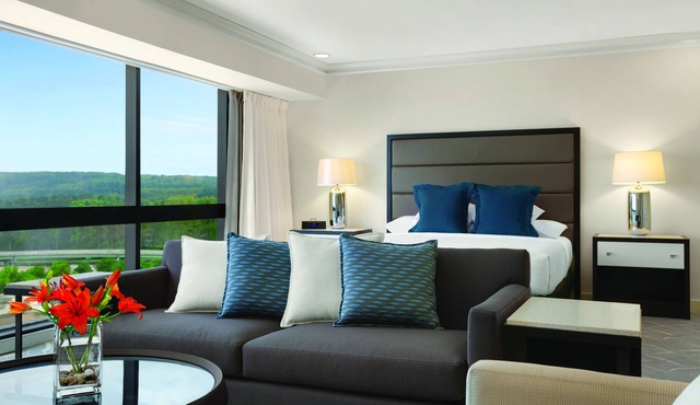 Hyatt Regency Birmingham-The Wynfrey Hotel