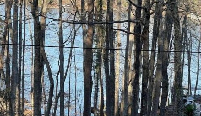 Lake Lanier House 1