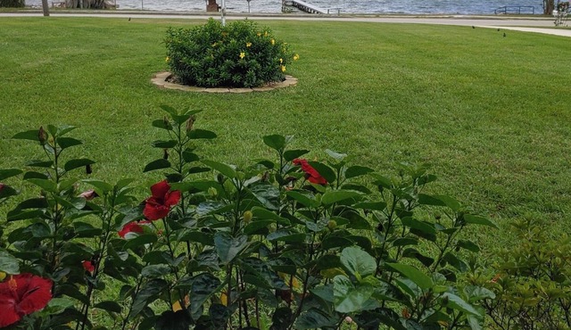 Lakefront private home with beach, dock and party area and large back yard