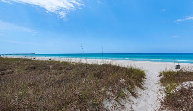 Large, snowbird friendly beachfront home with fast WiFi - steps to sand