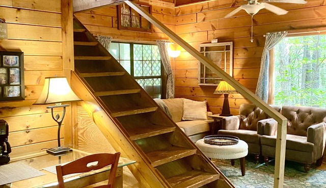 Log! Tiny home.Pond view.Owner built.Old growth secluded woods yet near town.