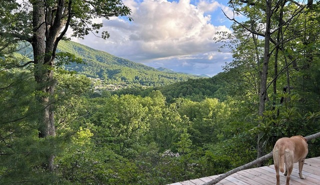Lover’s Lookout is a treetop retreat /perfect for a romantic escape.