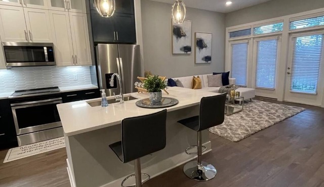 Luxury 1 Bedroom Apt