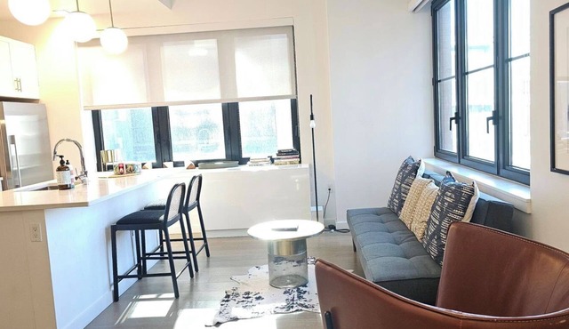 Luxury Highrise Apt Downtown Brooklyn- Convenient to All !