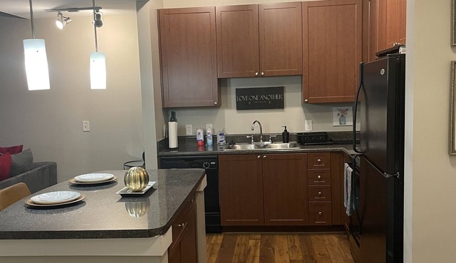 Luxury Lodging in upscale apartments