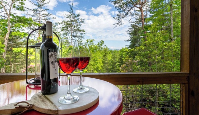 Modern Cabin, Close to Dahlonega & Wineries, View, Hot Tub, Pet Friendly
