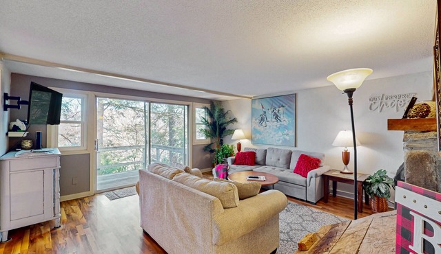 Mountain condominium w/natural light - close to ski lodge and covered balcony
