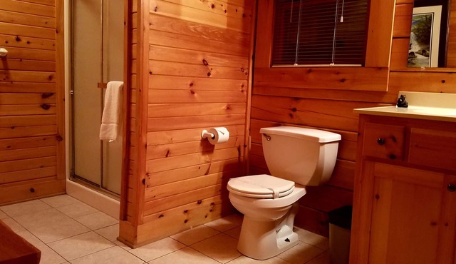 MOUNTAIN JOY COTTAGES #10- BIG BEAR