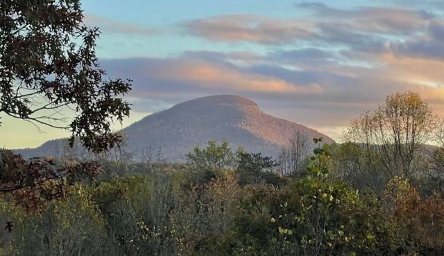Mountain Retreat - Hot Tub - King Beds - Views of Mt. Yonah - New Floors!