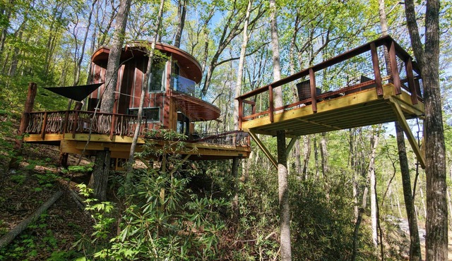Mushroom-Inspired Treehouse with Living Roof - The Mēos