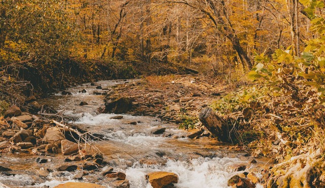 Our Little Slice of Heaven, with breathtaking views of the Pacolet River!