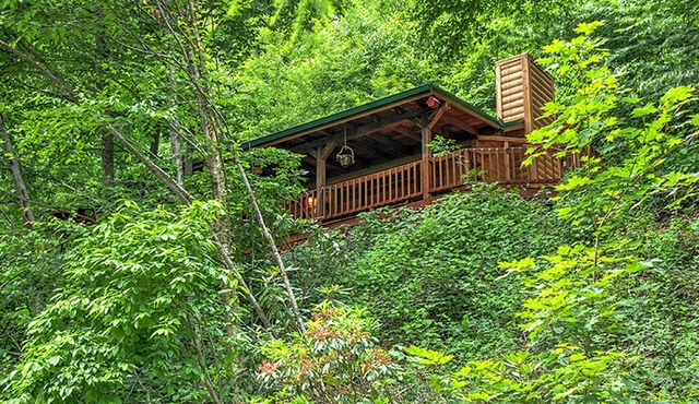 Peaceful and Relaxing Luxury Logs Cabin. Come Enjoy!