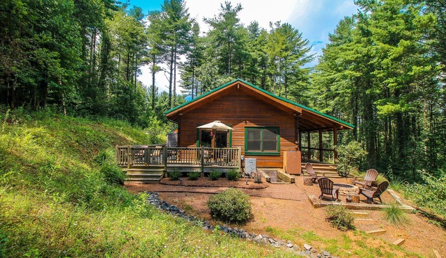 Peaceful Paradise - Log Cabin W/Fire Pit, Gas F/P & WiFi