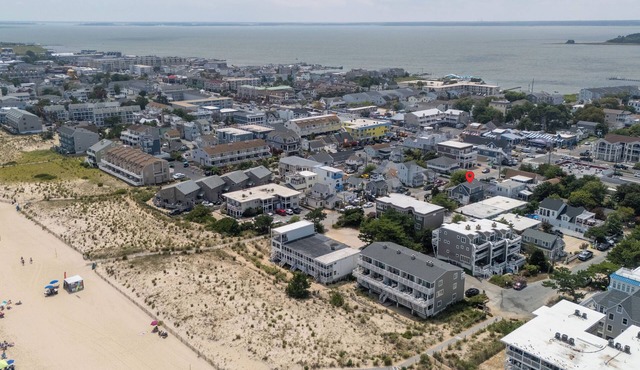 Pet Friendly Ocean Block Dewey Beach House